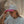 Load image into Gallery viewer, San Diego Wave FC x Huega House Pink & White High Profile Hat