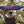 Load image into Gallery viewer, San Diego Wave FC Spread Love Make Waves 2024 Summer Scarf